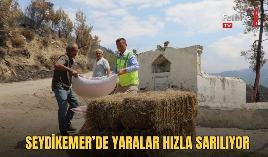 Seydikemer’de Yaralar Hızla Sarılıyor