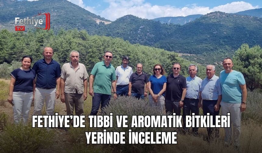 Fethiye’de Tıbbi Ve Aromatik Bitkileri Yerinde İnceleme