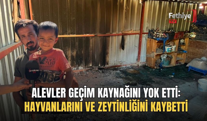 Alevler Geçim Kaynağını Yok Etti: Hayvanlarını Ve Zeytinliğini Kaybetti