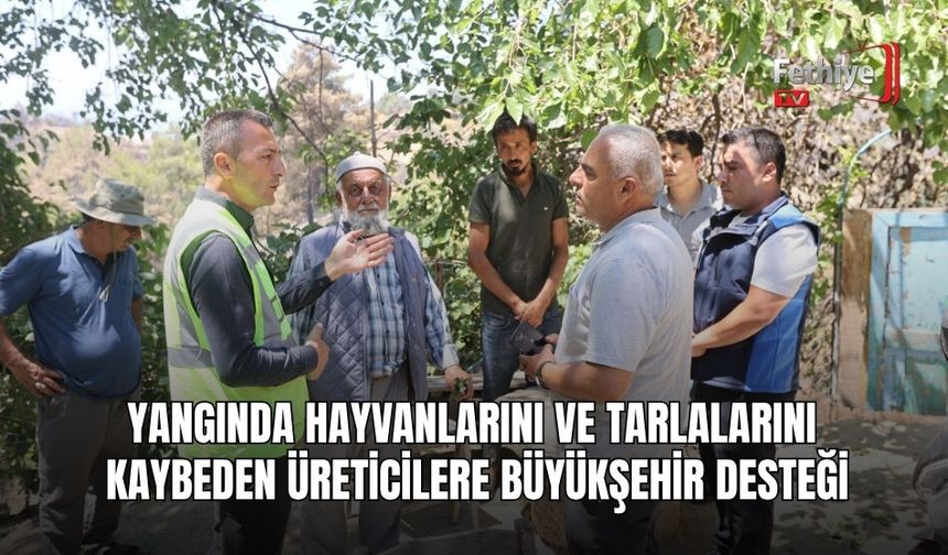 Yangında Hayvanlarını Ve Tarlalarını Kaybeden Üreticilere Büyükşehir Desteği