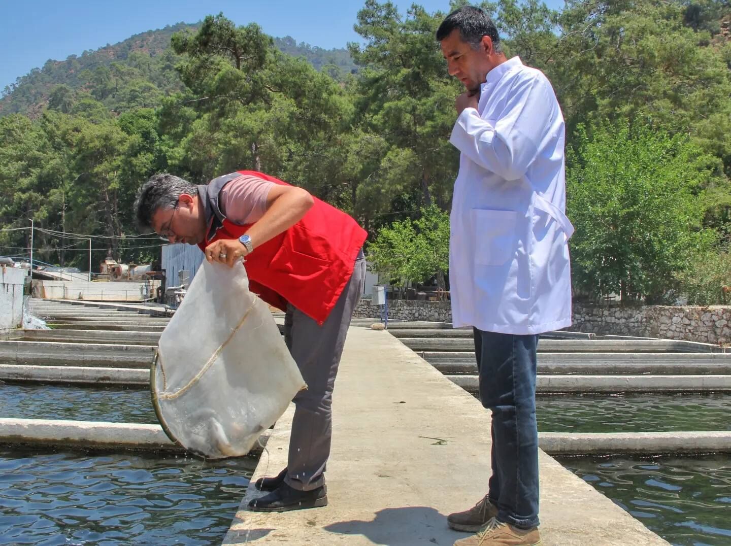 Fethiye'den Polonya'ya Taze Balık İhracatı (2)