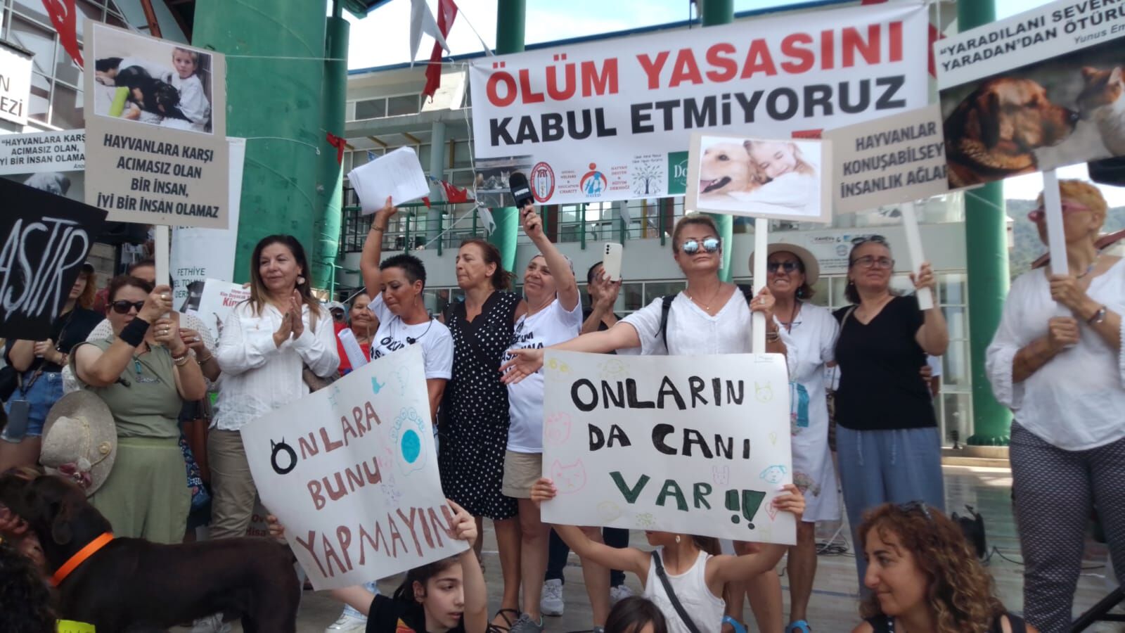Whatsapp Görsel 2024 06 02 Saat 16.44.36 F2111C64