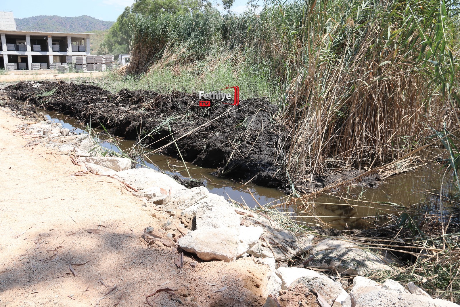 Fethiye’de Ölüme Terk Edilen Su Kaplumbağaları Yeniden Gölle Buluştu (11)