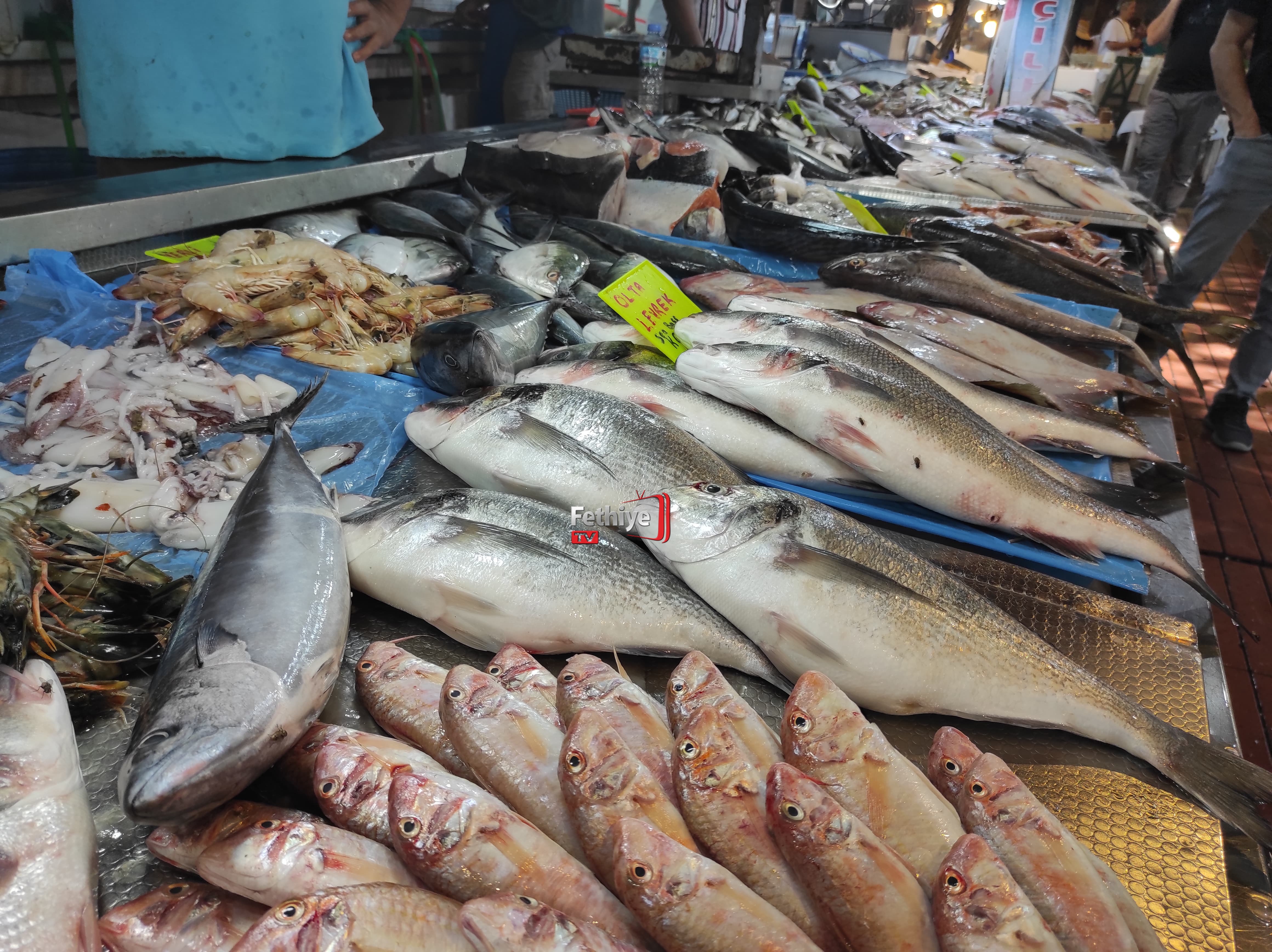 Fethiye Balık Halinde Sezon Başladı, Tezgahlar Şenlendi (5)