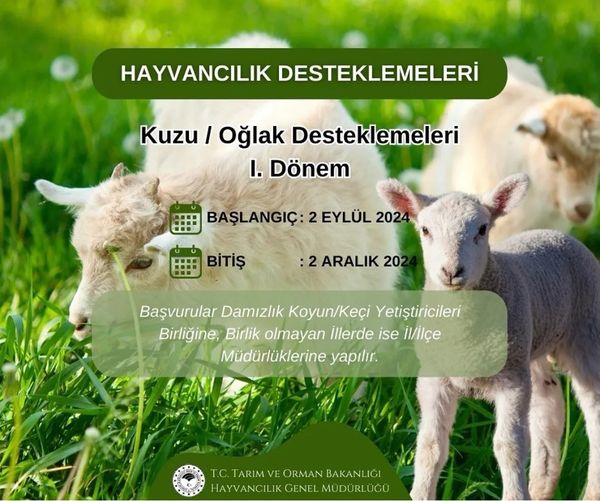 Fethiye’de Hayvancılıkla Uğraşanları İlgilendiriyor (3)