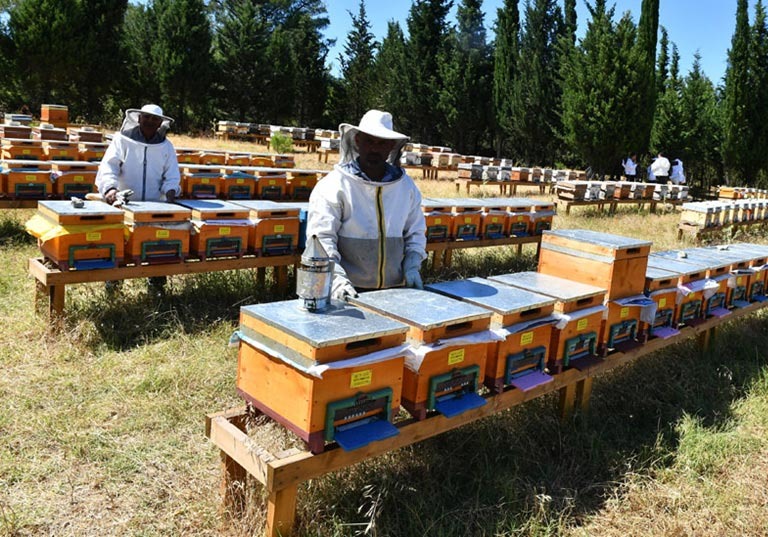 Fethiye’de Hayvancılıkla Uğraşanları İlgilendiriyor (5)