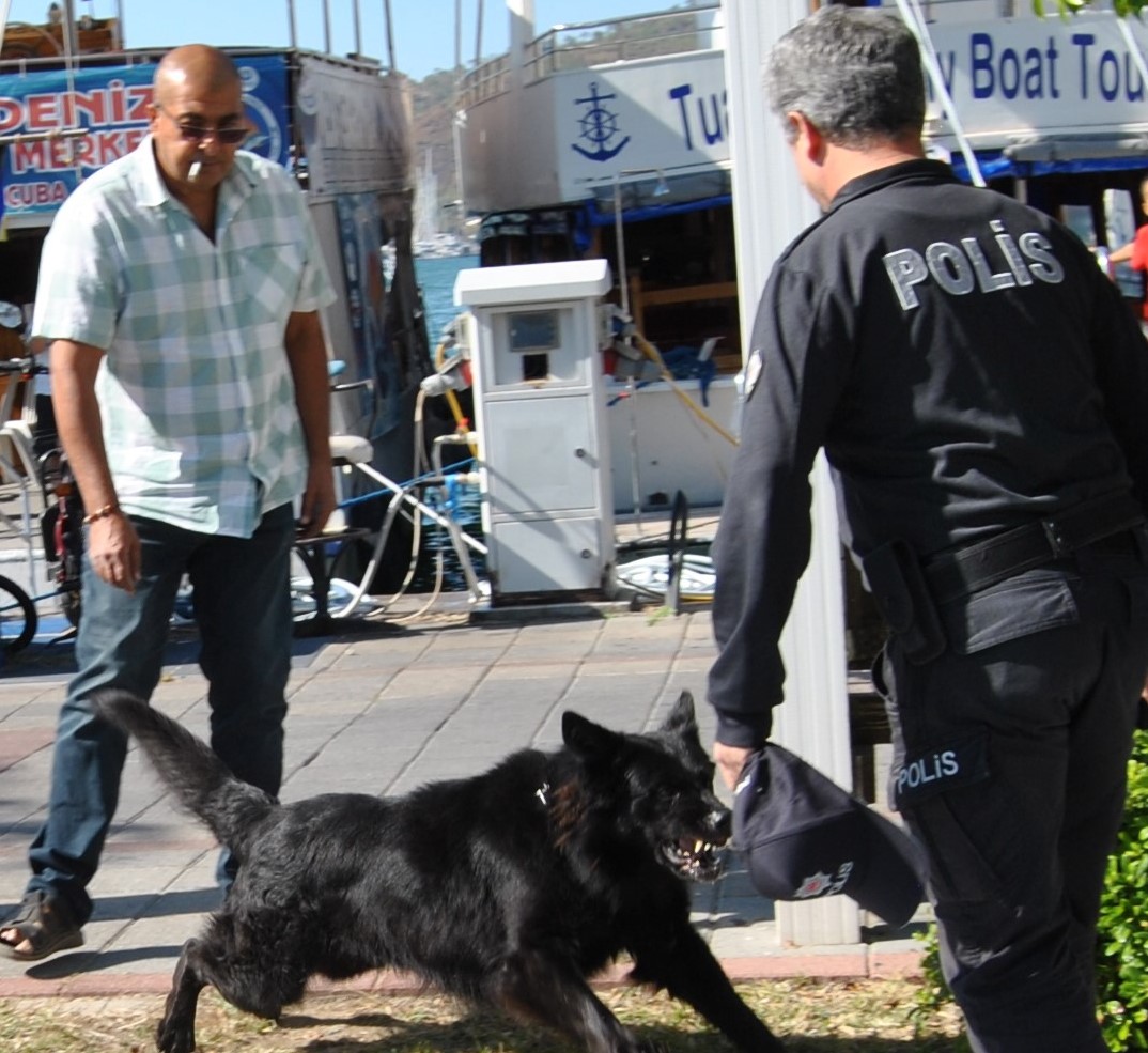 Fethiye’de Kurt Köpeği Görev Yapan Polislere Saldırdı (13)