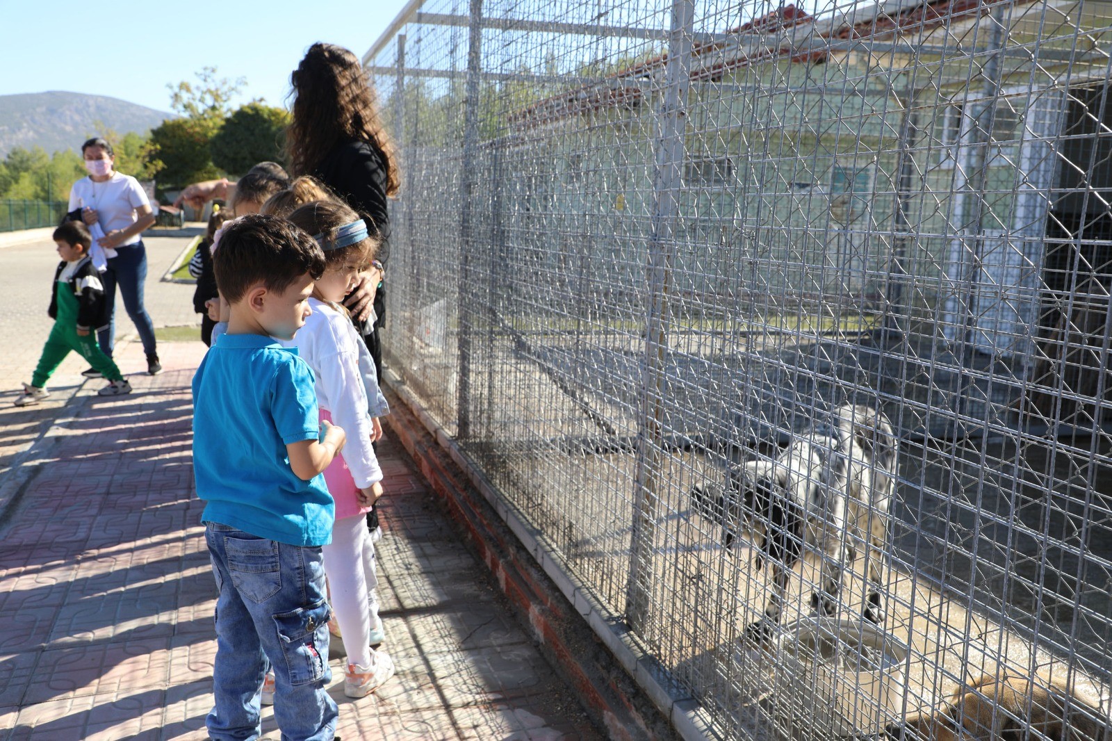 Miniklerden Can Dostlara 4 Ekim Ziyareti (4)