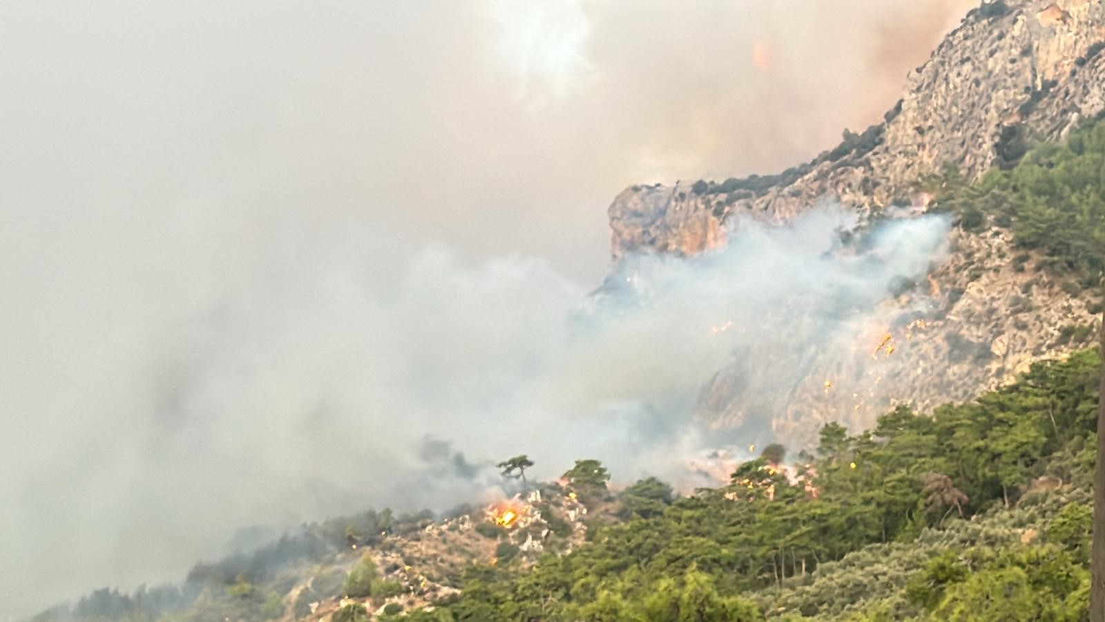 Muğla’yı Orman Yangınları Esir Aldı (4)