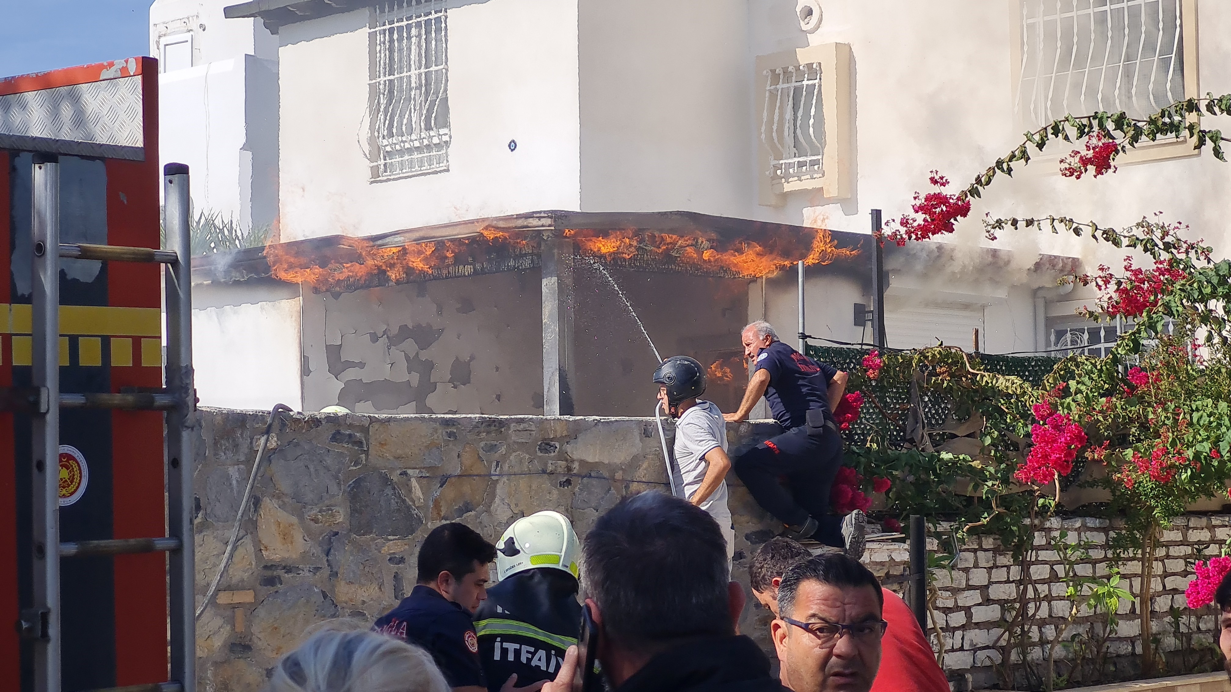 Muhabbet Kuşlarını Suni Teneffüsle Kurtarmaya Çalıştılar (1)