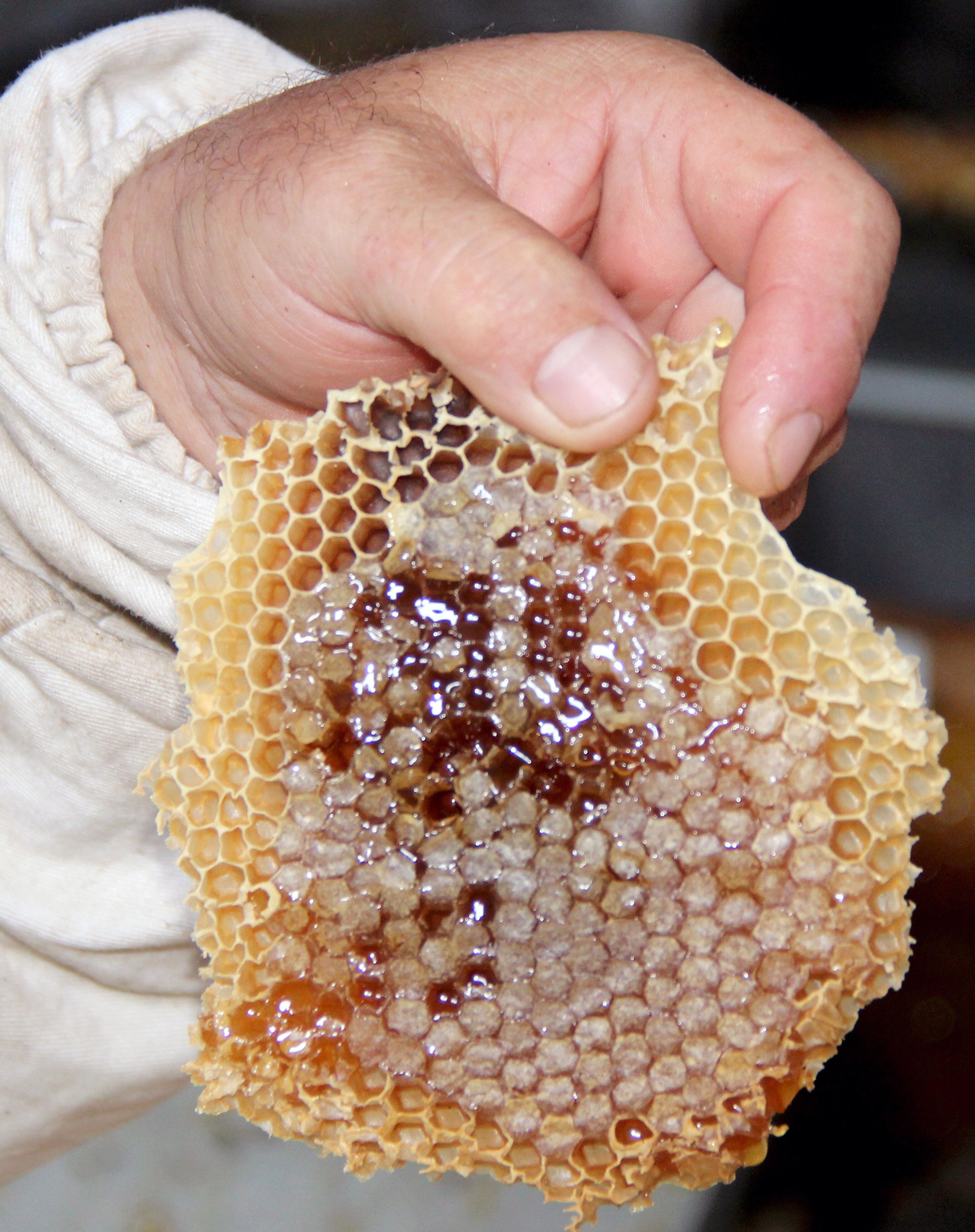 Taklit Ve Tağşişli Ürünler Bu Laboratuvarda Belirleniyor (3)