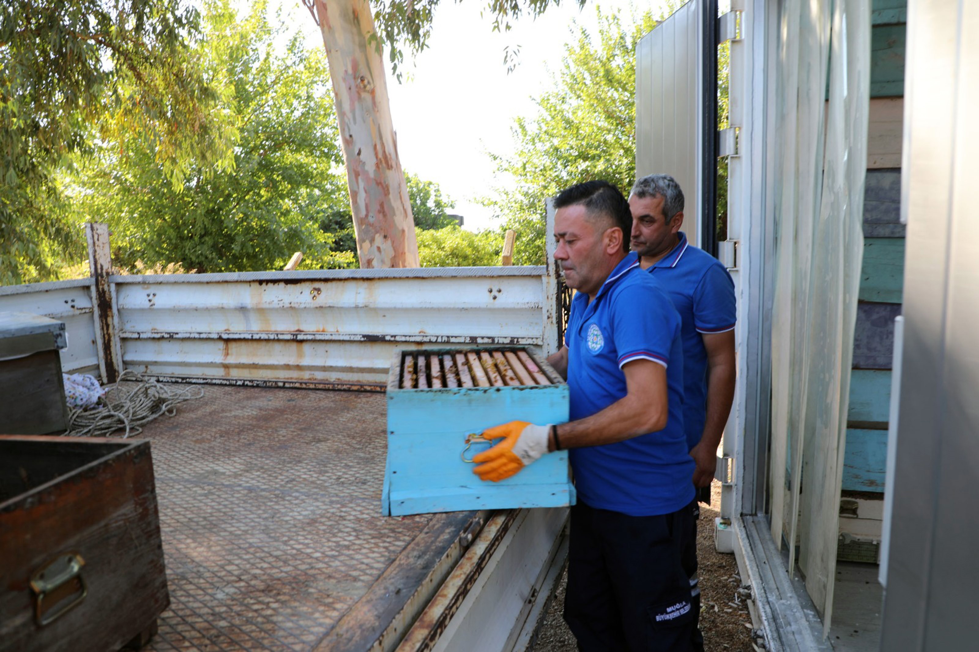 Yerel Yönetimler Arasında Bir İlk Temiz Petek Projesi (1)