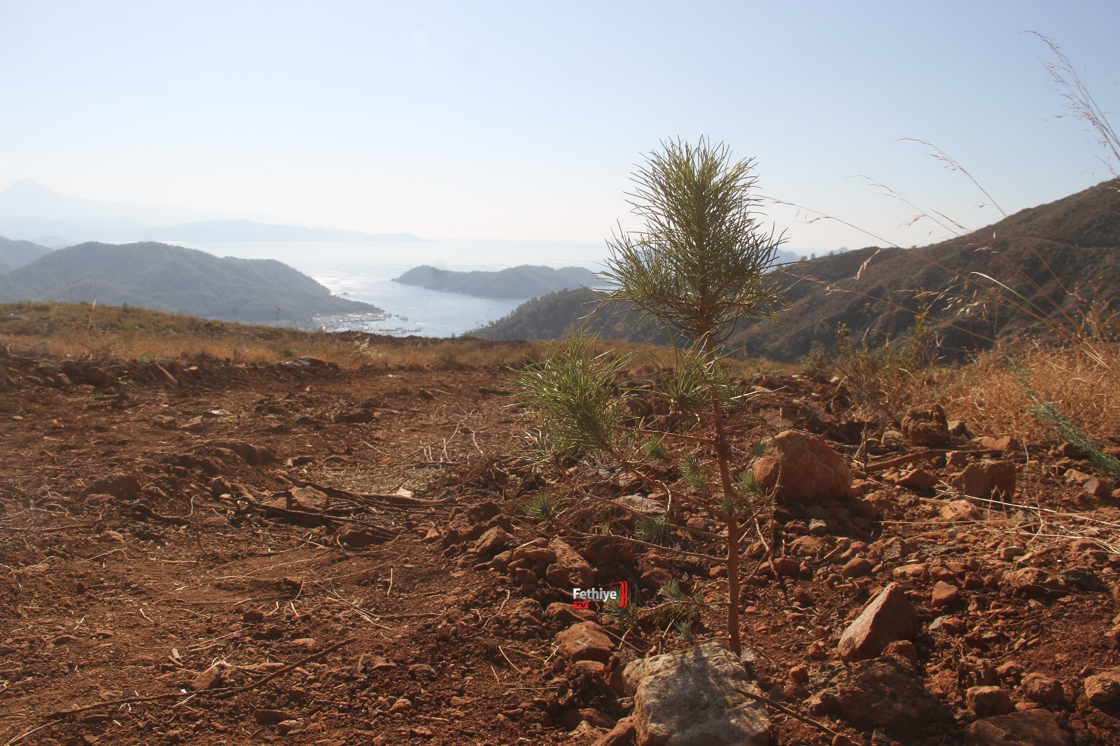 Fethiye’de Geleceğe Nefes İçin 5 Bin Fidan Toprakla Buluştu (2)