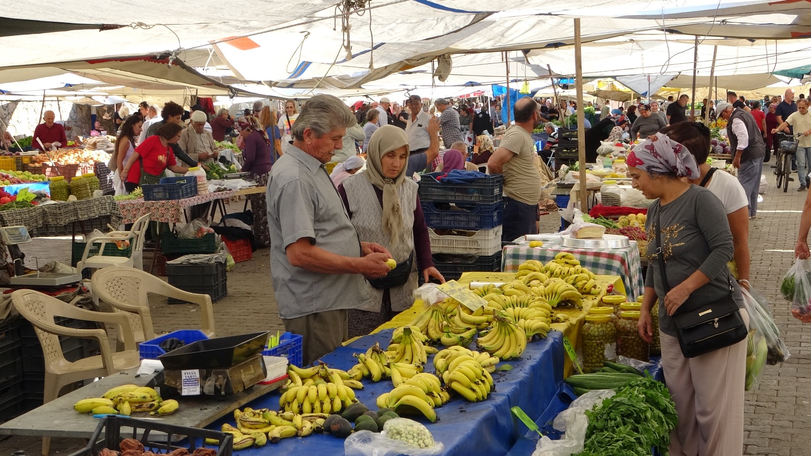 Salı Pazarı Mı, Üretici Pazarı Mı (6)