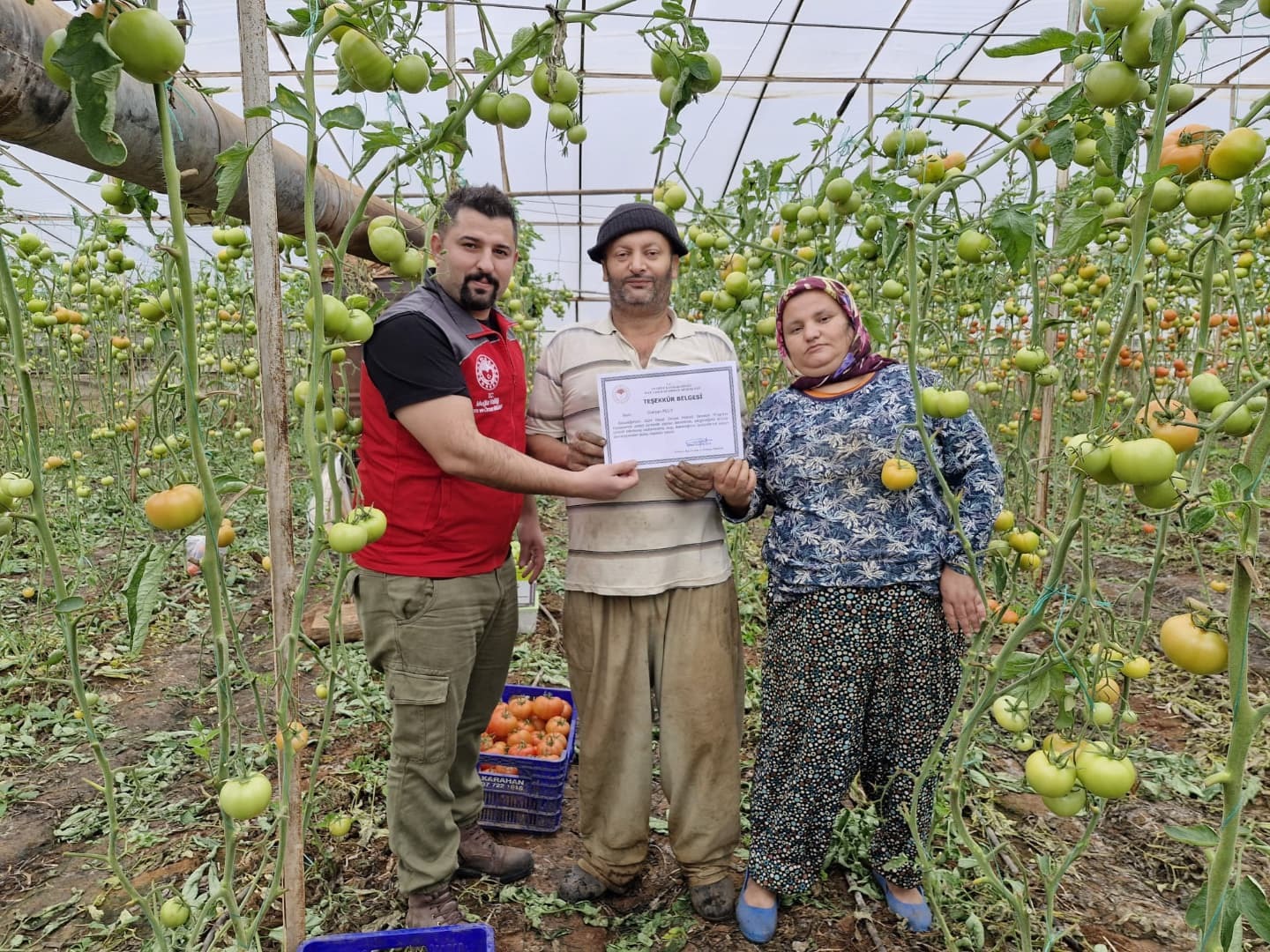 Fethiye’de Tarım Yapan Çiftçilere Pestisit Denetimi (2)