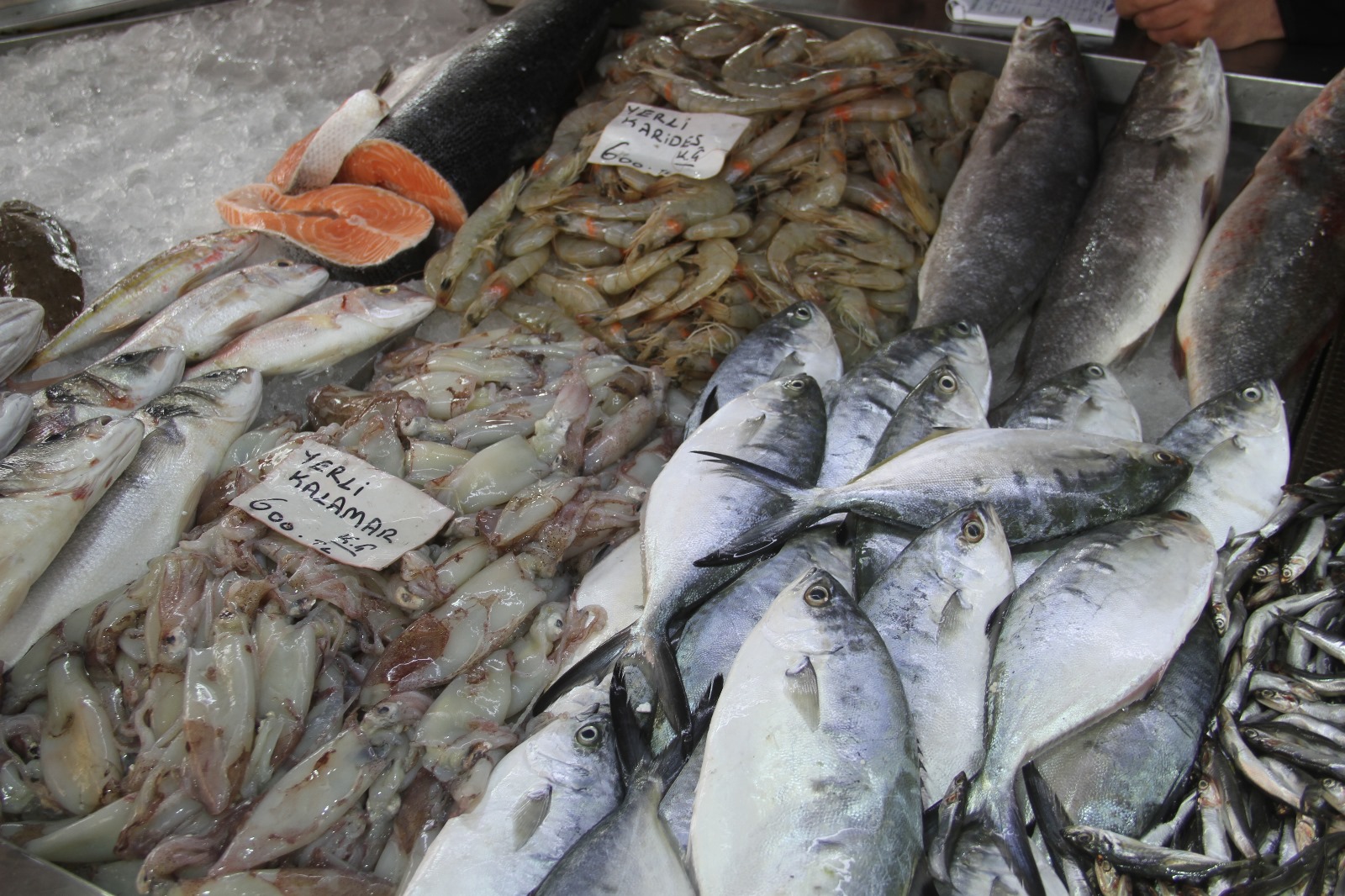 Soğuk Hava Dalgası Balığa Yaradı, Balıkçıya Yaramadı (3)
