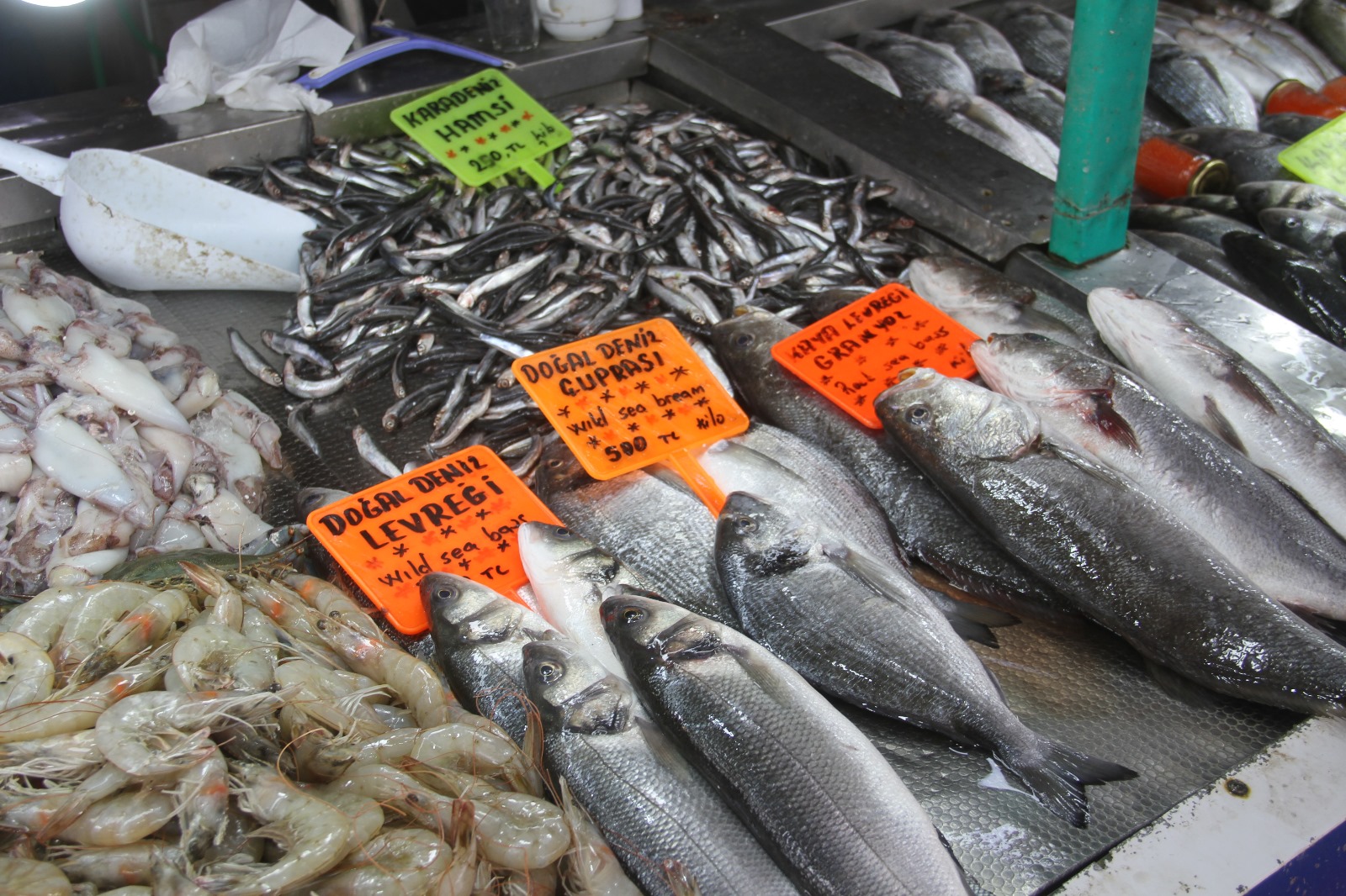 Soğuk Hava Dalgası Balığa Yaradı, Balıkçıya Yaramadı (9)