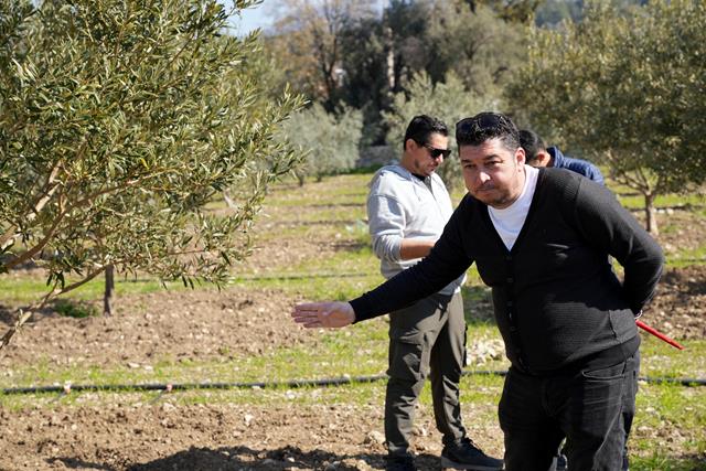 Zeytinciliği Geliştirme Projesi’ne Talep Artıyor (3) (Copy)