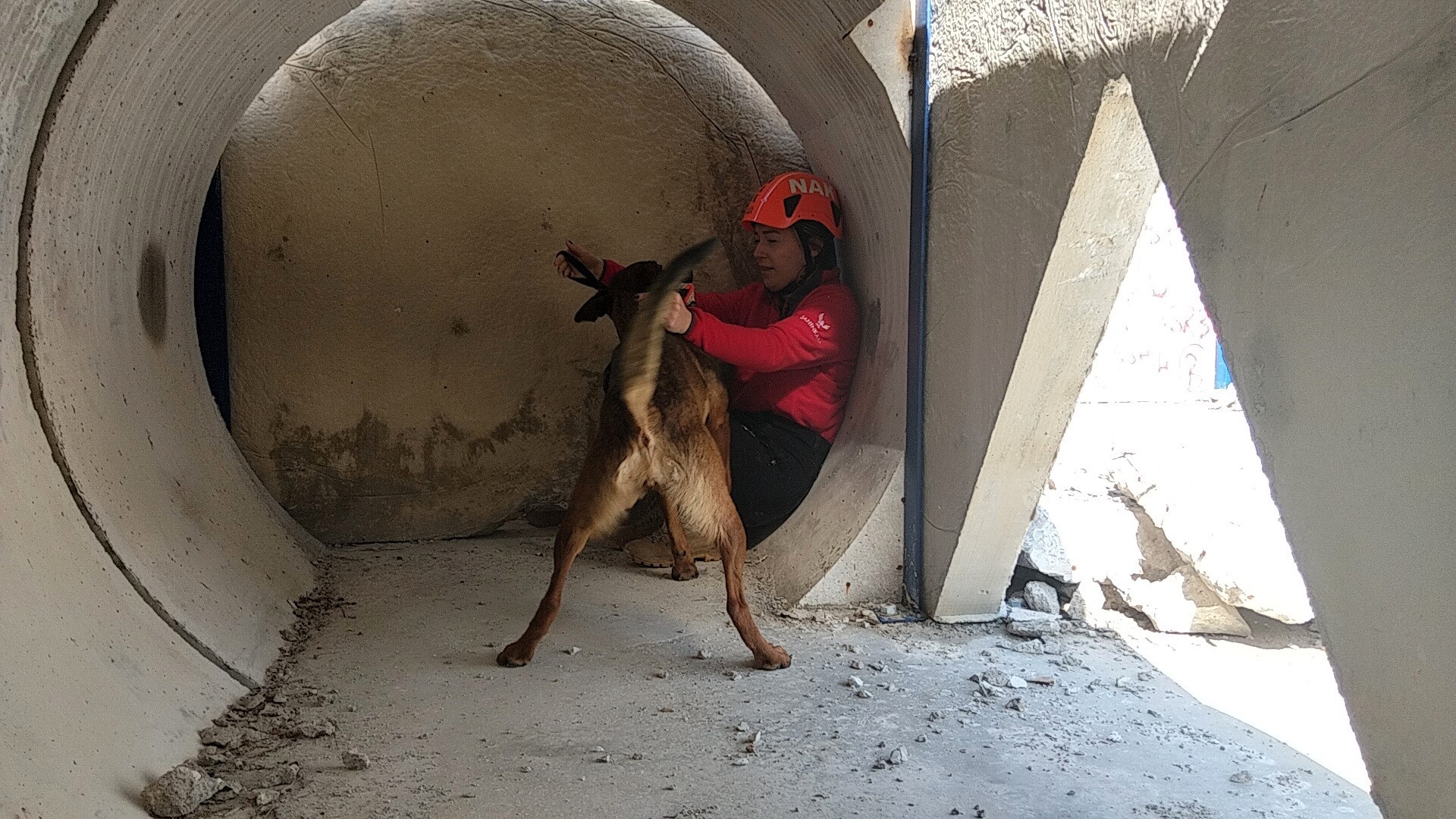 Enkazın Sessiz Kahramanı Arama Kurtarma Köpeği Tayga Görev Başında (4)