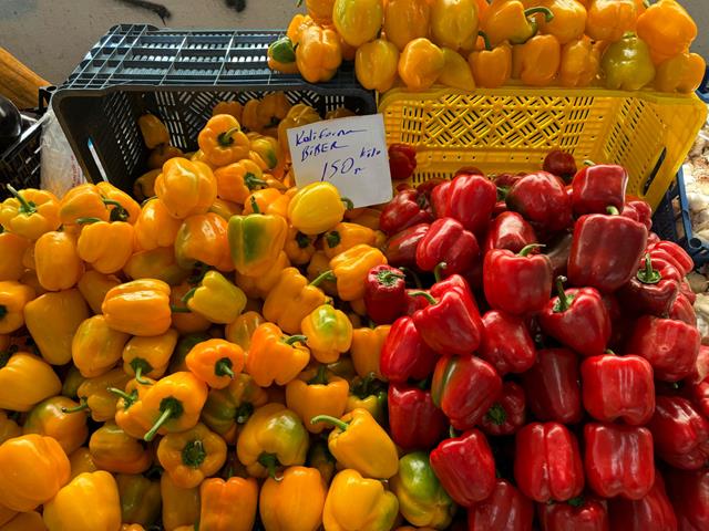 Fethiye Salı Pazarında Bahar Hareketliliği (4) (Copy)