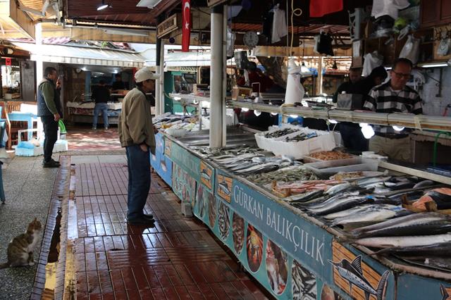 Fethiye Balık Hali Kış Sezonundan Mutlu, Yaz Sezonundan Umutlu (1) (Copy)