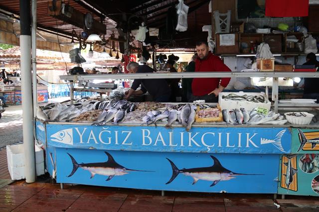 Fethiye Balık Hali Kış Sezonundan Mutlu, Yaz Sezonundan Umutlu (2) (Copy)