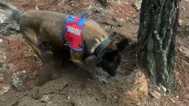 (Arşiv) 20 Yıl Sonra Ortaya Çıkarılan Cinayetin İlk Duruşması Görüldü (2) (Copy)