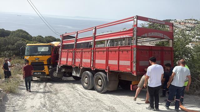 Beton Mikseri İle Kayan Kamyonetin Arasında Kalan Sürücü Hayatını Kaybetti (5) (Copy)