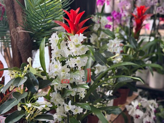 Fethiye’de Çiçekçiler Anneler Günü’ne Hazırlandı (11) (Copy)