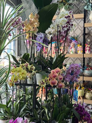 Fethiye’de Çiçekçiler Anneler Günü’ne Hazırlandı (13) (Copy)-1