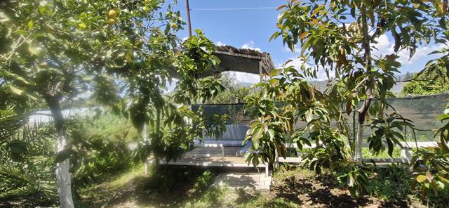 Whatsapp Image 2025 05 07 At 15.28.58 (Copy)