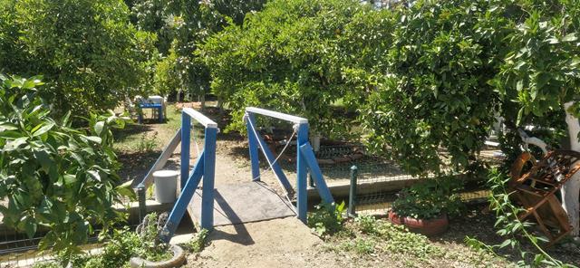 Whatsapp Image 2025 05 07 At 15.29.04 (1) (Copy)