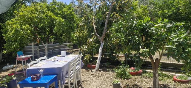 Whatsapp Image 2025 05 07 At 15.29.04 (Copy)