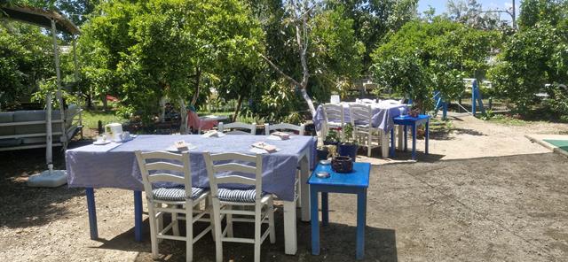 Whatsapp Image 2025 05 07 At 15.29.05 (Copy)