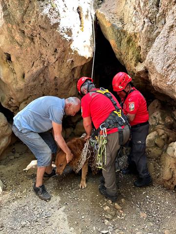 Whatsapp Image 2025 05 20 At 19.20.50 (Copy)