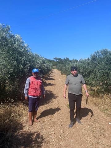 Fethiye Ve Seydikemer’de Zeytinciliği Geliştirme Projesi Devam Ediyor (2) (Copy)