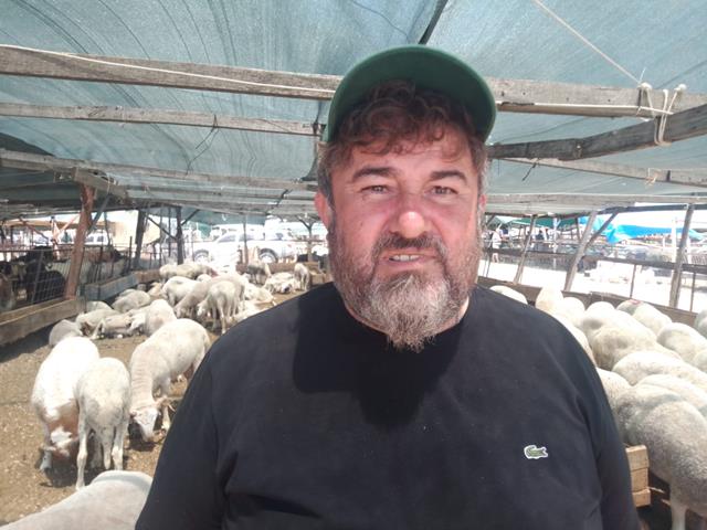Fethiye’de Kurbanlık Satışları Hareketlendi (3) (Copy)