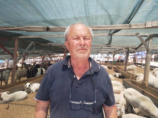Fethiye’de Kurbanlık Satışları Hareketlendi (4) (Copy)