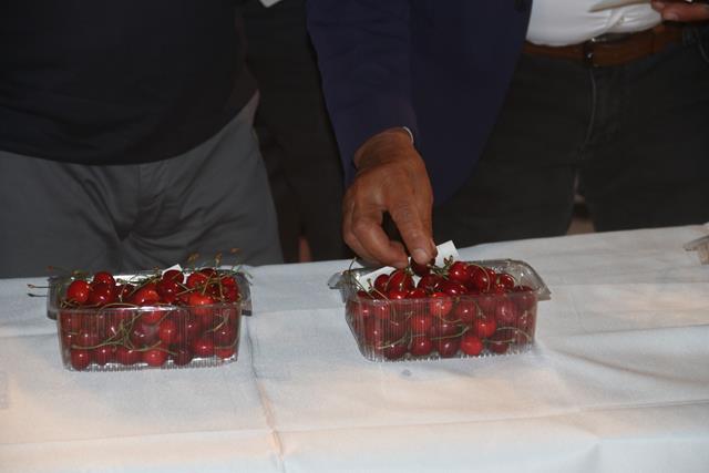 Ni̇f Ki̇raz Festi̇vali̇ 15 Hazi̇ran'da (3) (Copy)