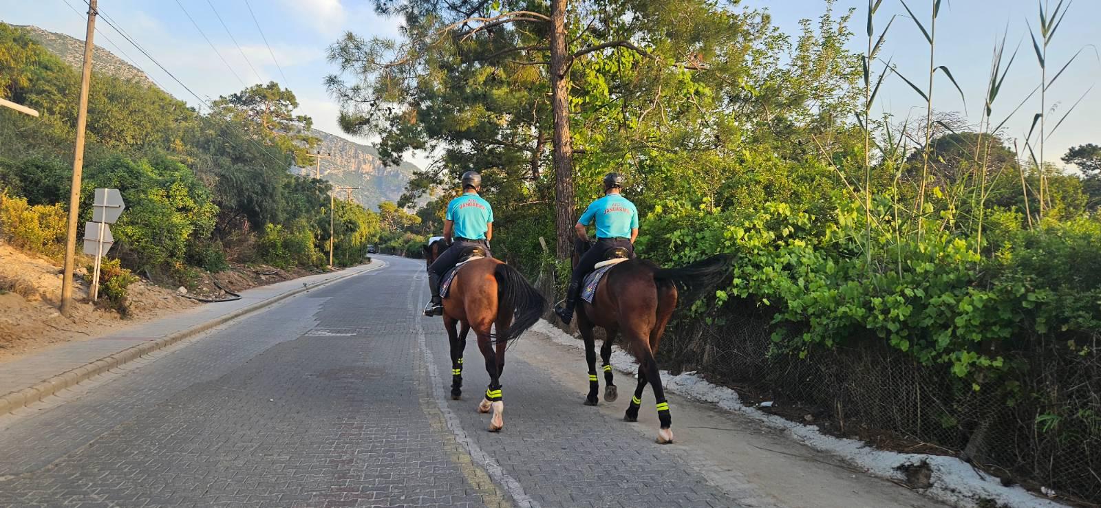 Whatsapp Image 2025 06 02 At 14.54.27