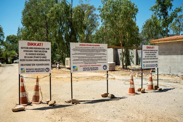 Türkiye’nin İlk Vi̇p’i Hayvan Barınağı Projesi, Fethiye’de Hayata Geçecek… (5) (Copy)