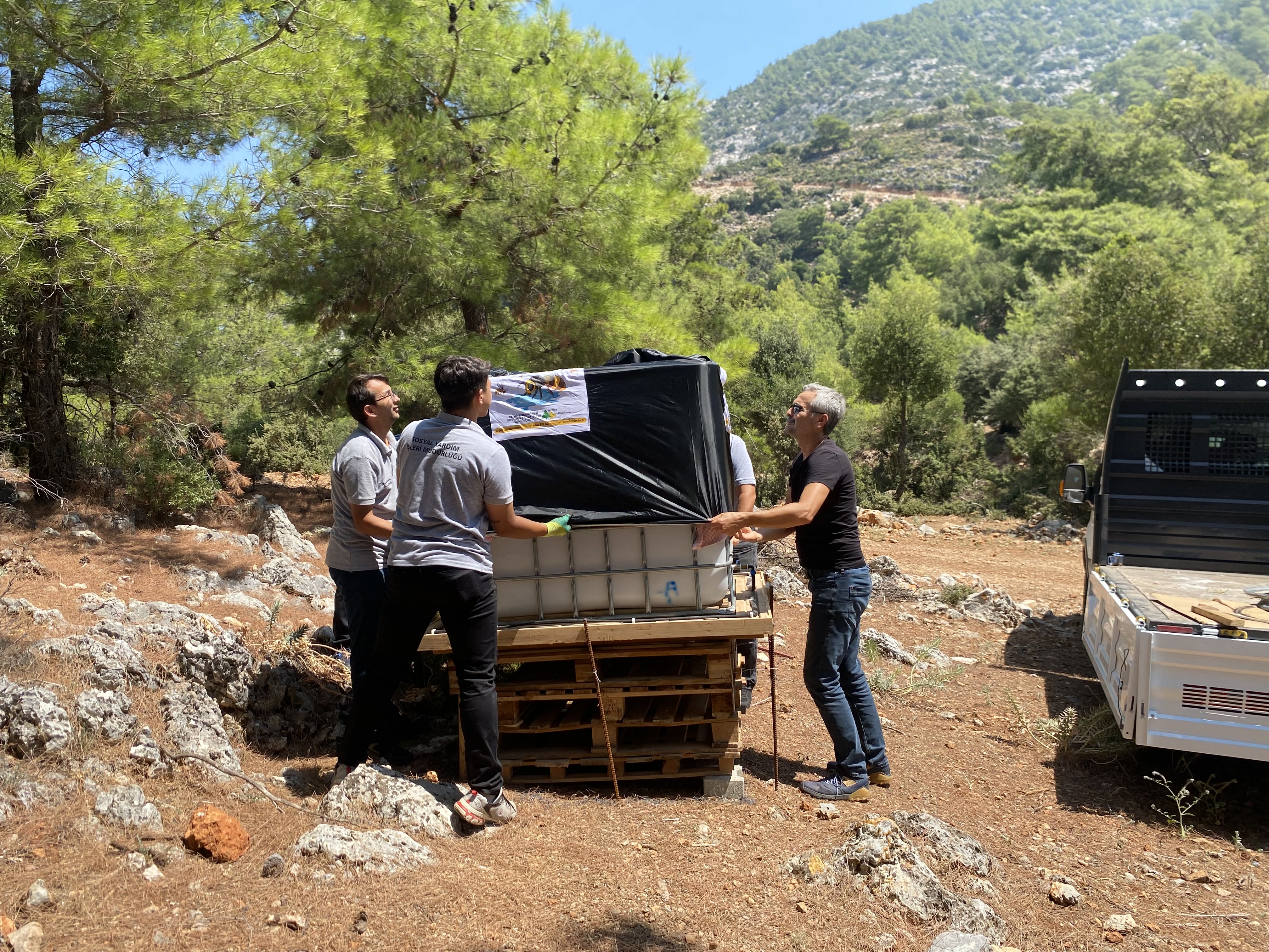 Arı Su Içme Noktaları (2)