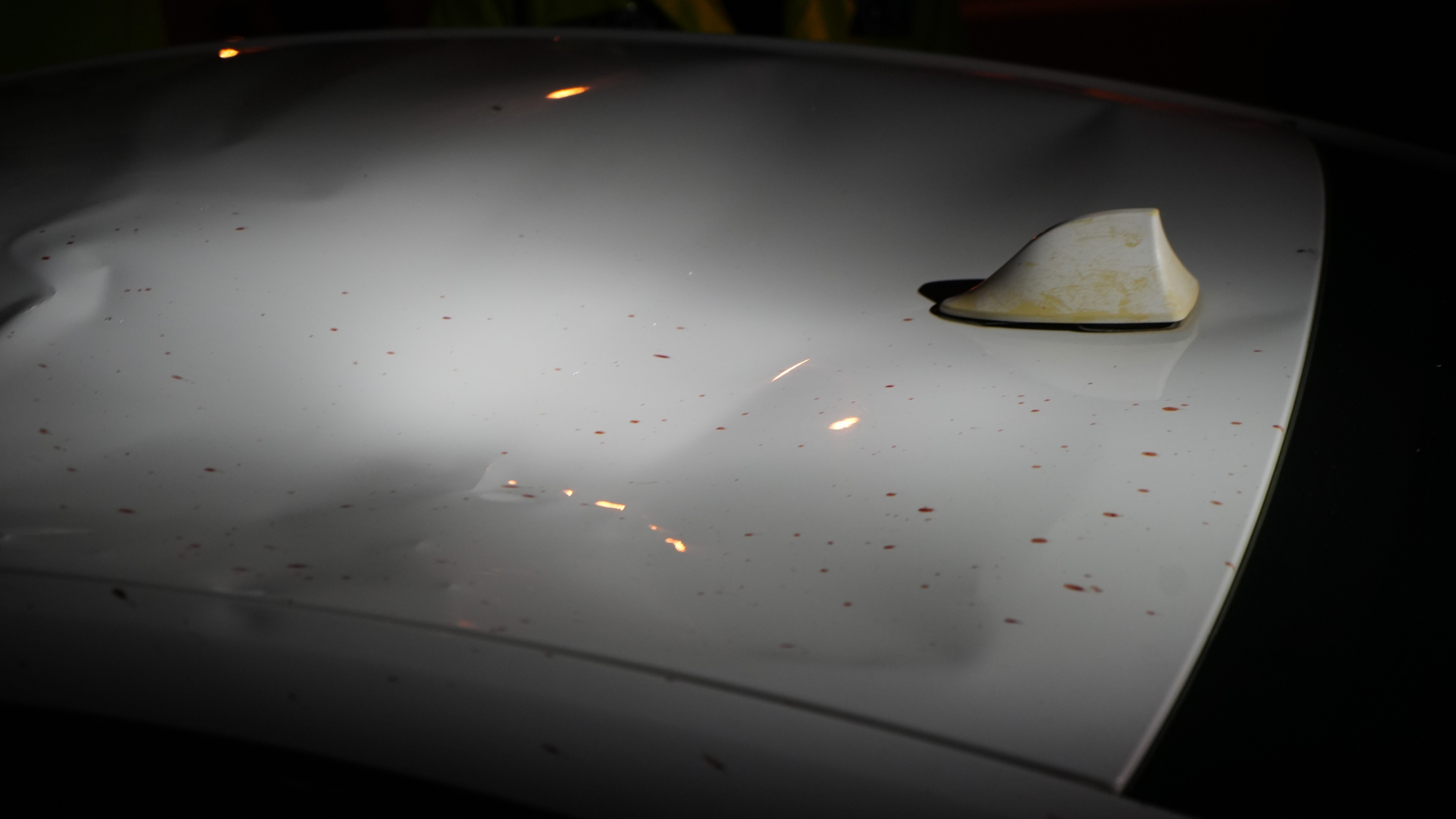 Düğünden Çıkıp Hayatını Kaybetti, Cenaze Yerdeyken Düğün Eğlencesi Devam Etti (3)