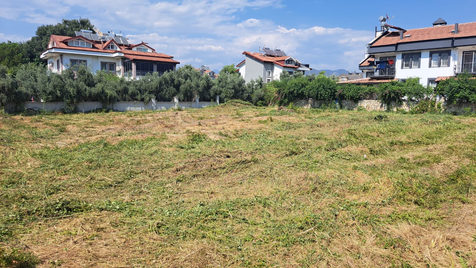 Fethiye Belediyesi Uyardı Arsa Temizliğini Yapmayanlara %20 Fazla Masraf Faturası! (5)