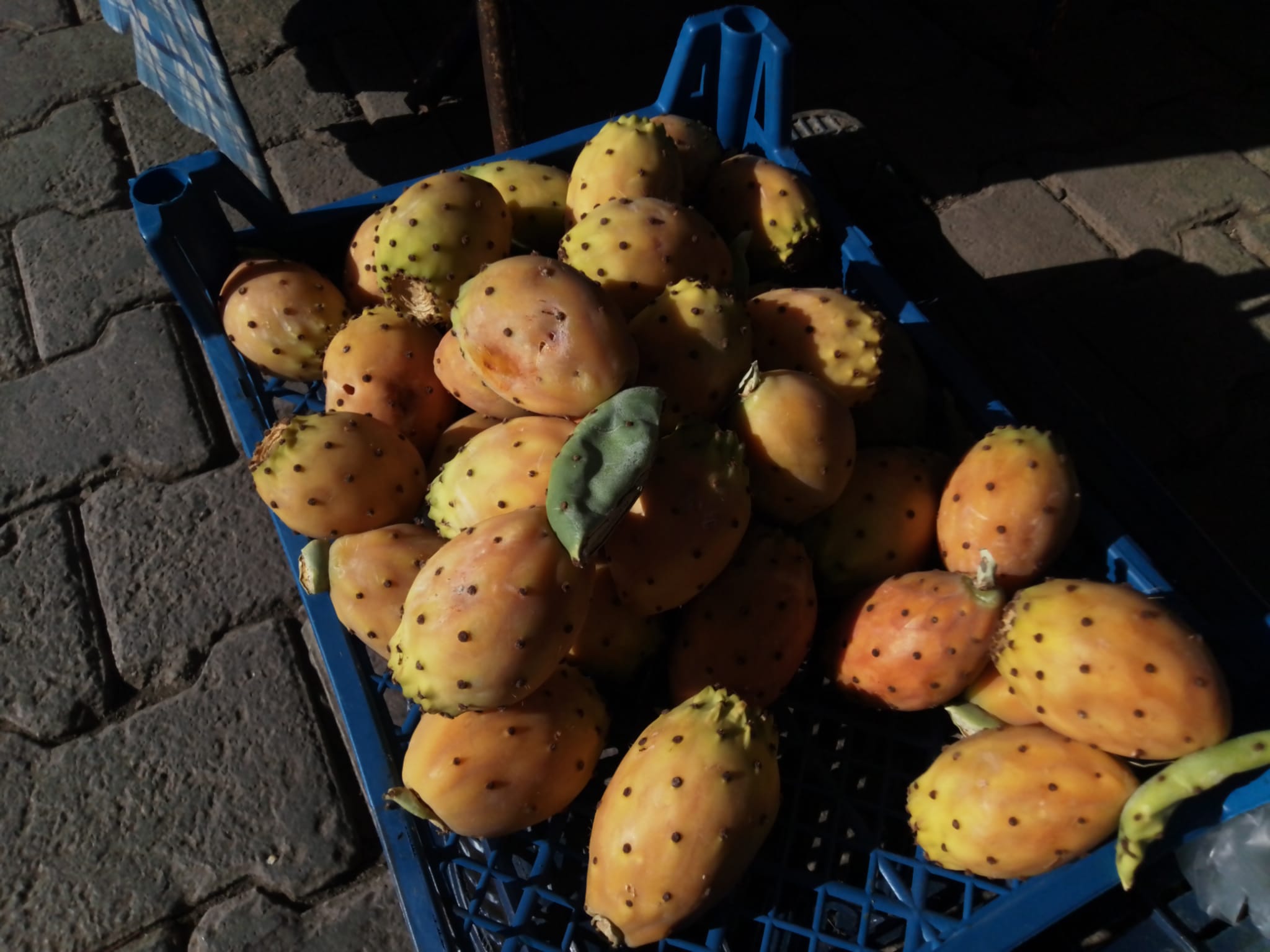 Fethiye’de Dikenli İncir Tane İle Satılıyor (2)