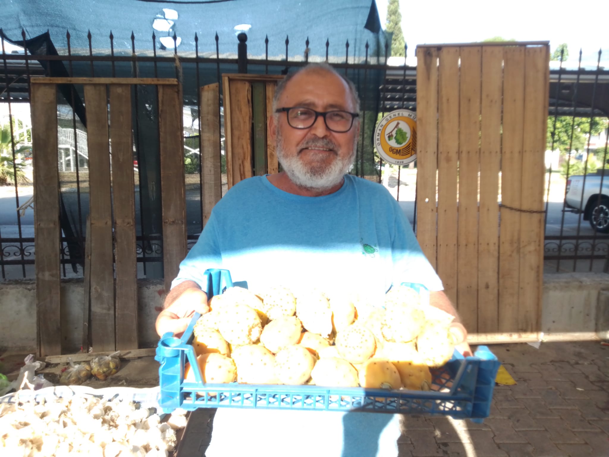 Fethiye’de Dikenli İncir Tane İle Satılıyor (4)