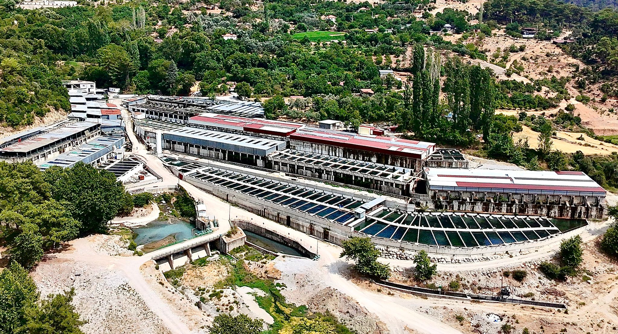 Fethiye’de Üretilen “Kırmızı Alabalıklar” Abd Ve Avrupa Ülkelerine İhraç Ediliyor (4)