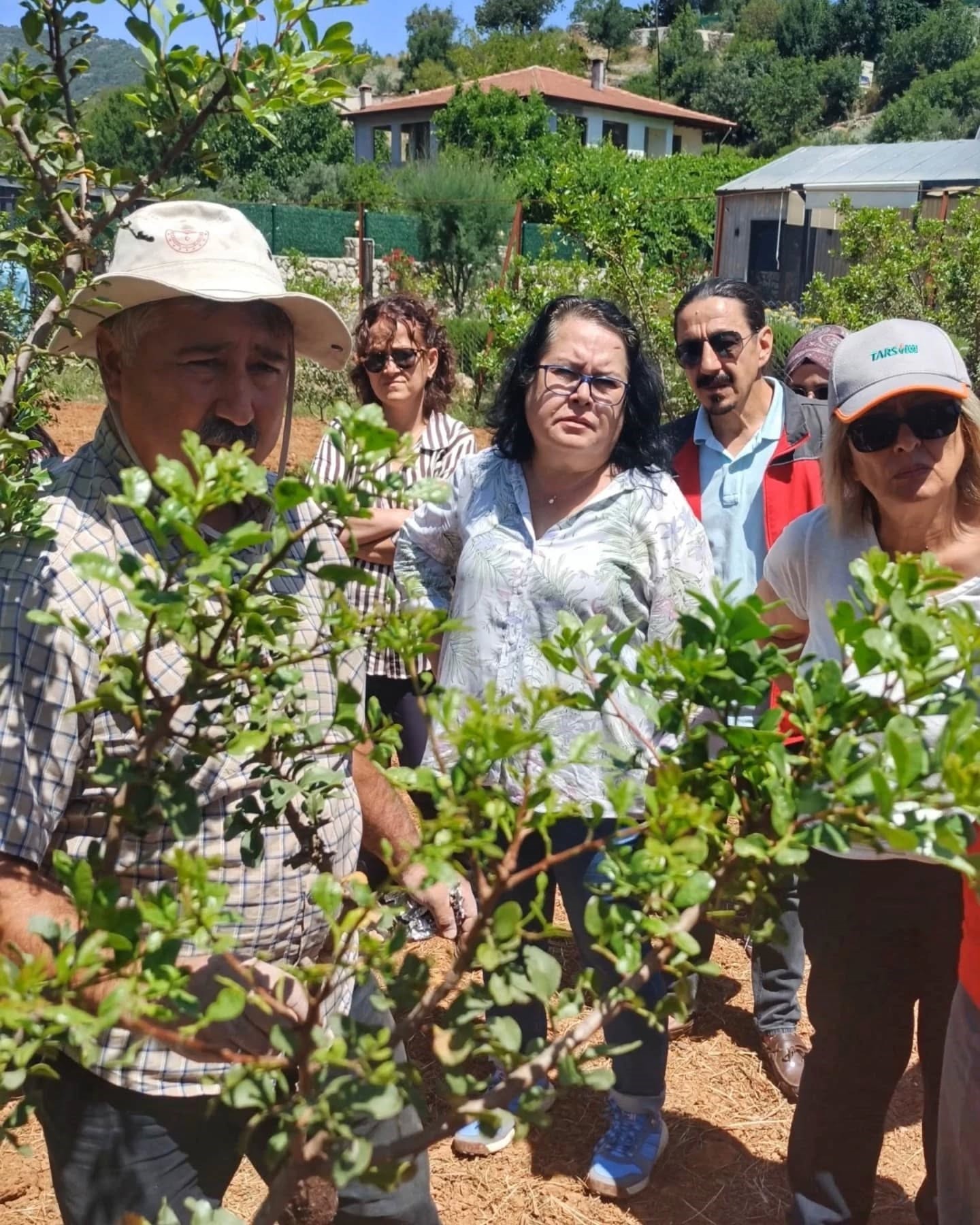 Sakiz Hasadi Başladi (3)