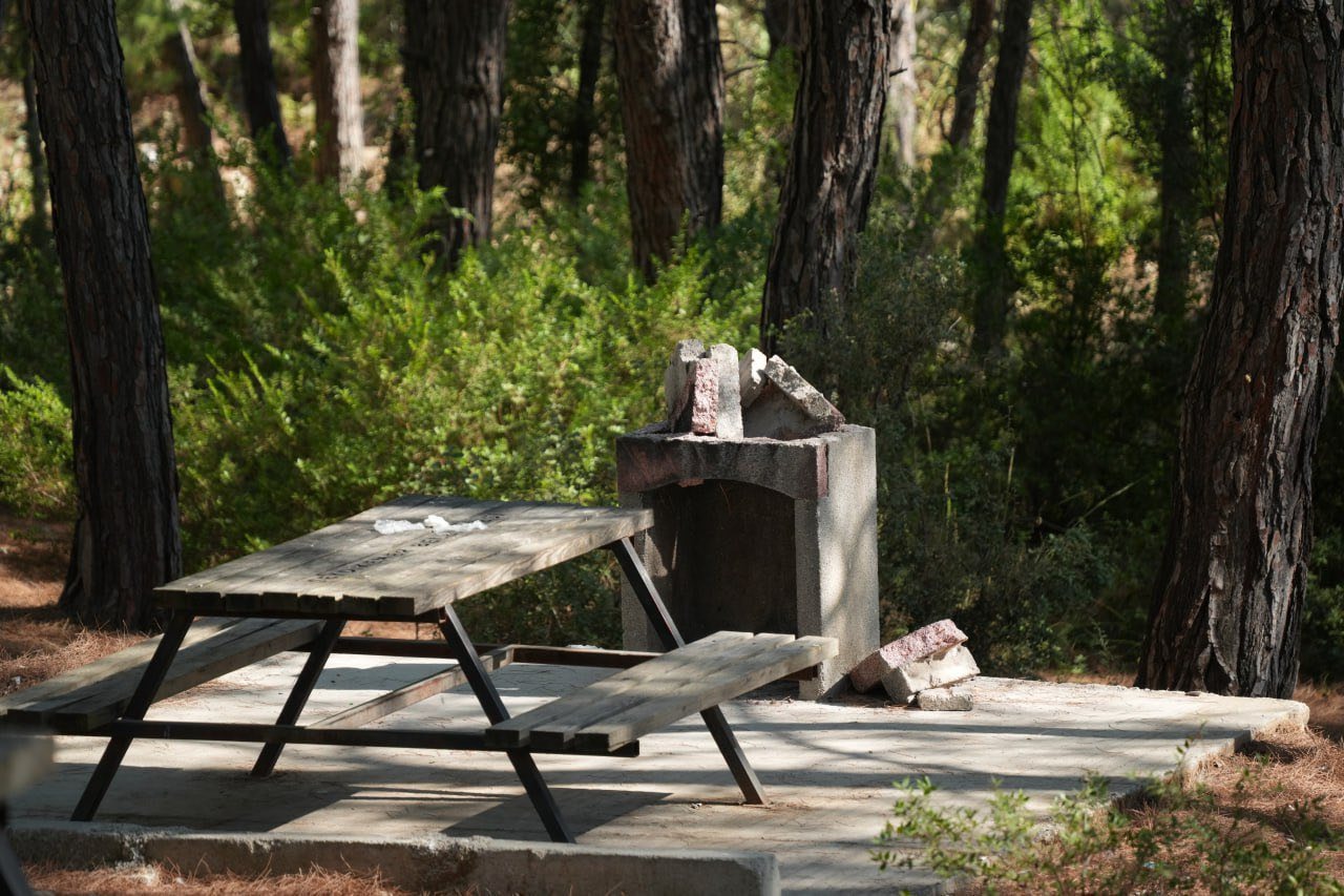 Seydikemer’de Mesire Alanını Tahrip Ettiler (1)