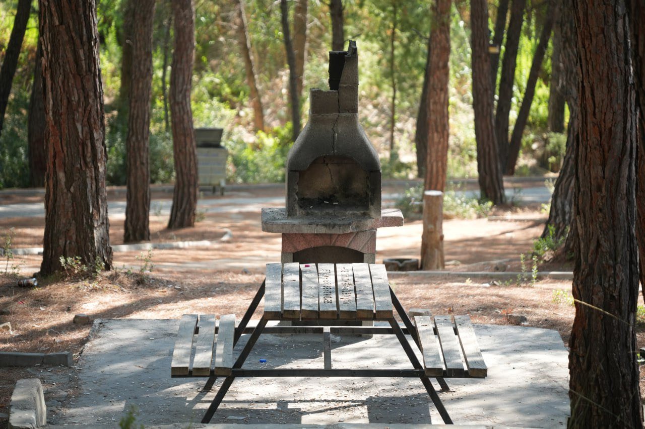 Seydikemer’de Mesire Alanını Tahrip Ettiler (3)